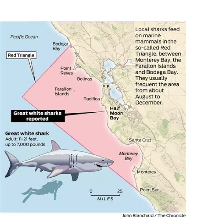 What country has the most shark infested waters?