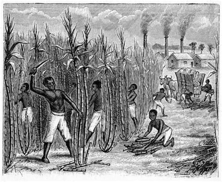 What crops did African slaves bring to America?