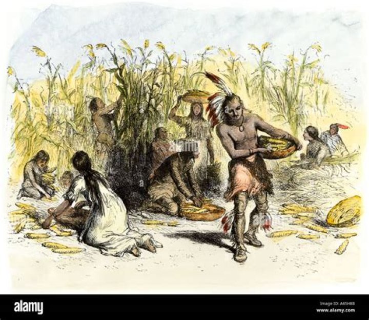 What crops did the Amerindians grow?