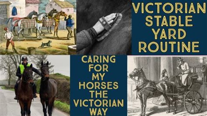 What did a Victorian stable boy do?