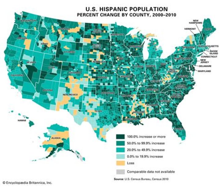 What did Latinos contribute to the US?