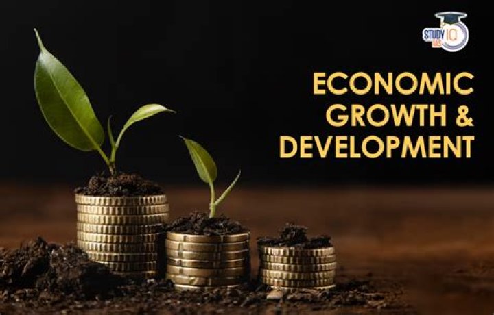 What did orthodox economists believe?
