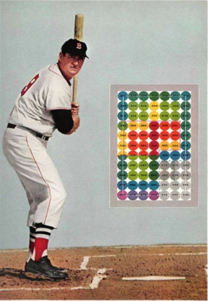 What did Ted Williams say about hitting?