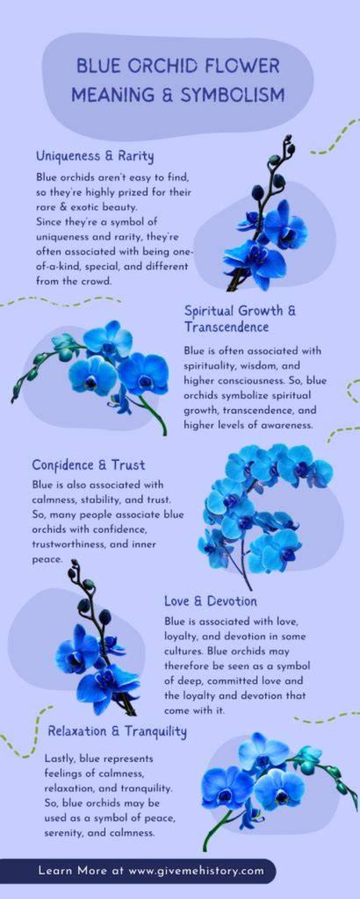 What do blue orchids symbolize?