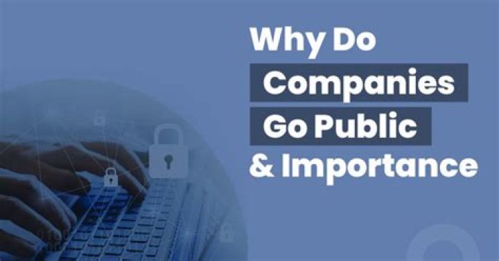 What do employees get when a company goes public?