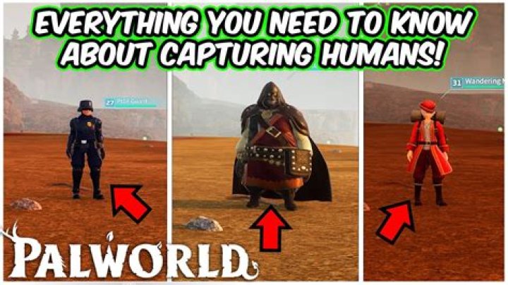 What do humans do to mountains?
