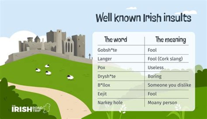 What do Irish republicans call Northern Ireland?