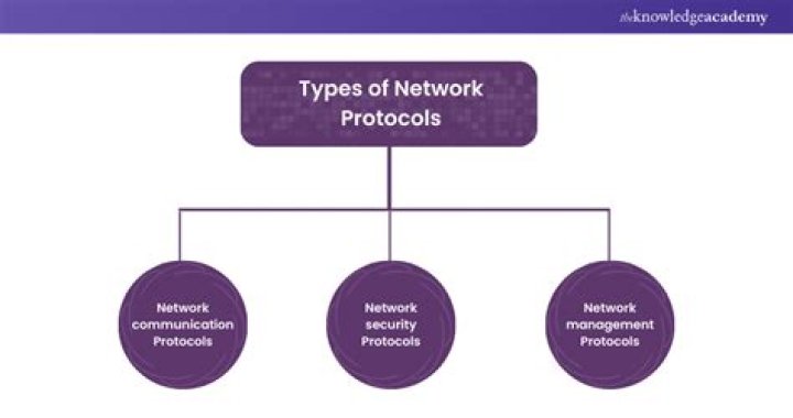 What do network protocols define?