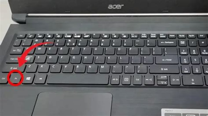 What do the function keys do on an Acer laptop?