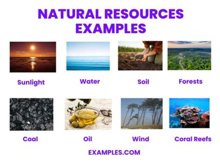 What do we use resources for?