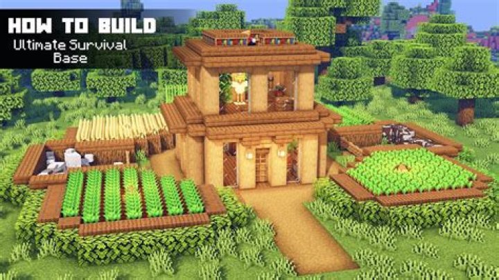 What do you do in Minecraft survival mode step by step?