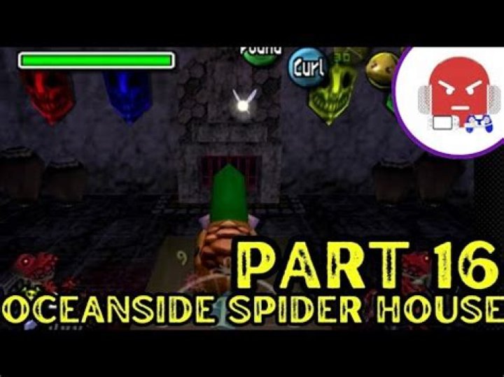 What do you get from the Oceanside Spider House?