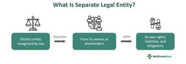 What do you mean by legal entity?