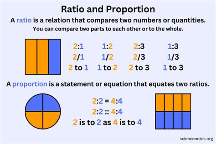 What does a 100 to 1 ratio mean?