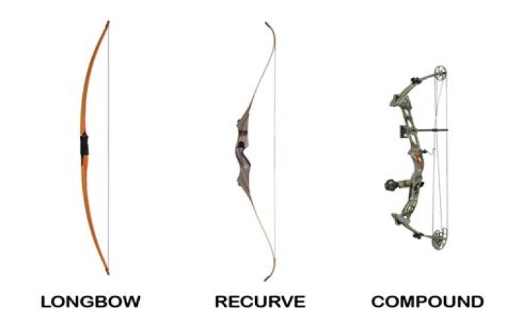 What does a beginner archer need?