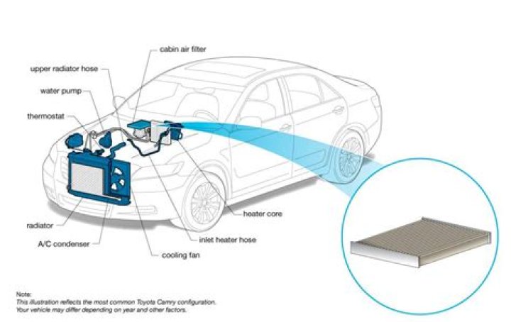 What does a cabin air filter in a car do?