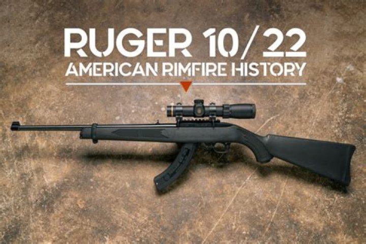 What does a new Ruger 10/22 cost?