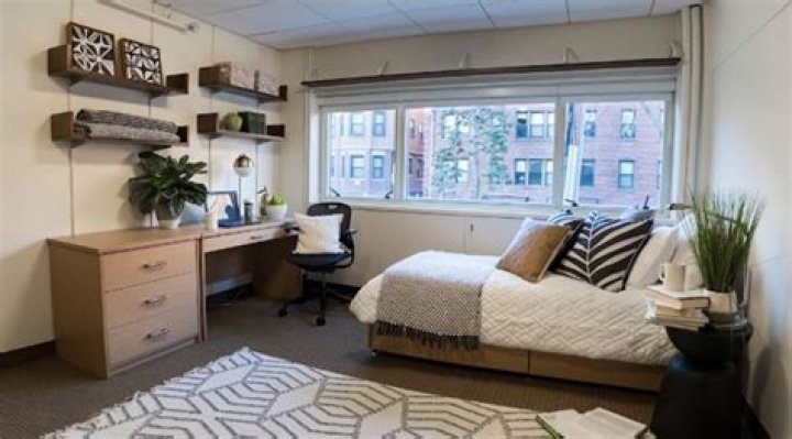 What does a student need in a dorm?