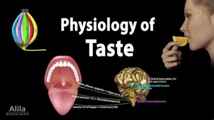 What does Afgoo taste like?