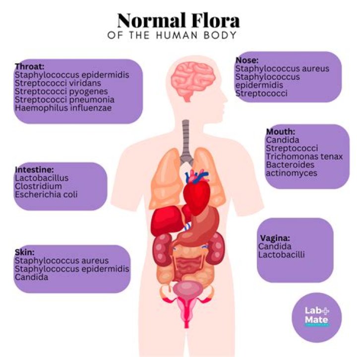 What does Alam Flora do?