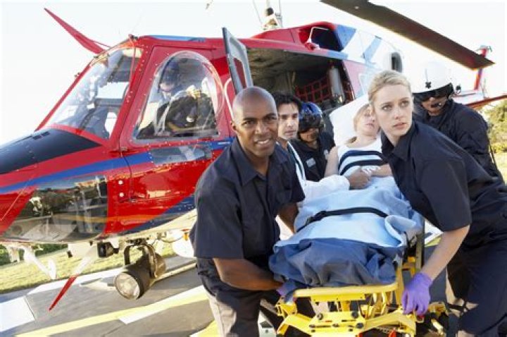 What does an EMS do for an organization?