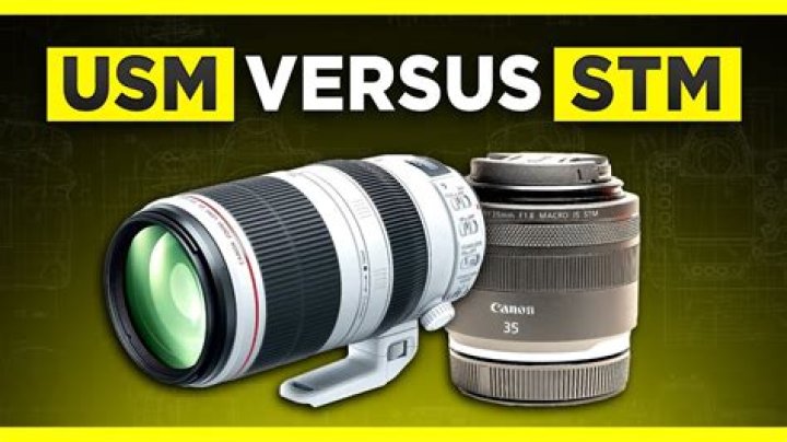What does canon STM stand for?