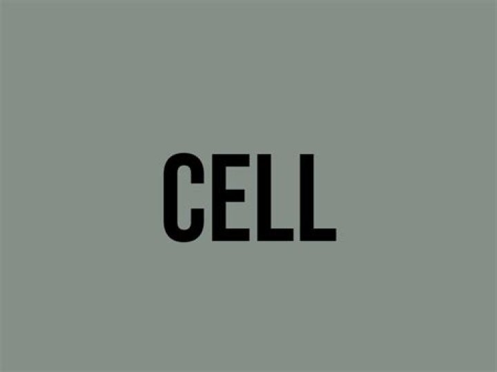 What does cell mean in economics?