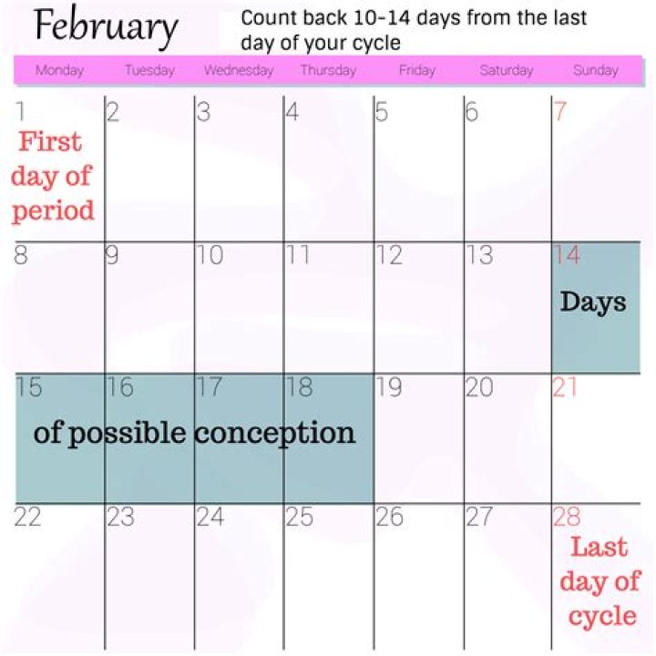 What does conceived date mean?