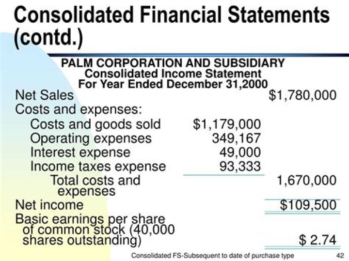 What does consolidated financial statement means?