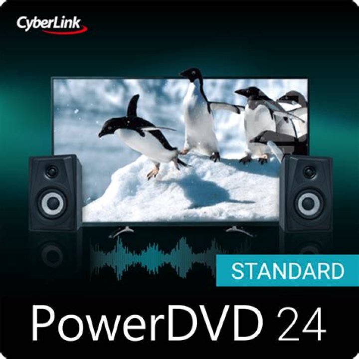 What does CyberLink PowerDVD do?