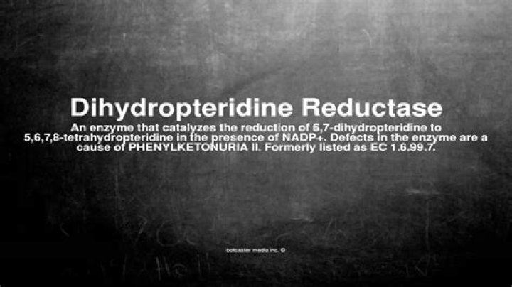 What does dihydropteridine reductase do?