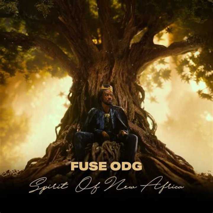 What does Fuse ODG stand for?