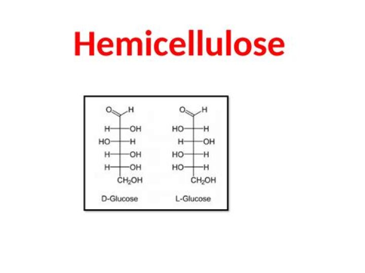 What does hemicellulose do in the body?