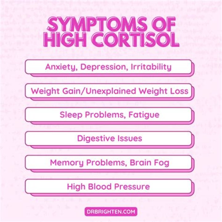 What does high cortisol mean in dogs?