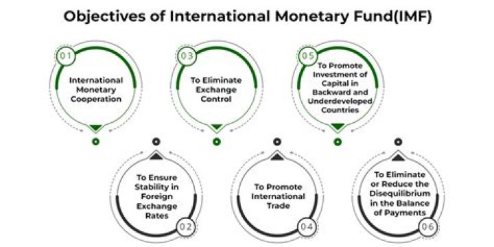 What does IMF WEO stand for?