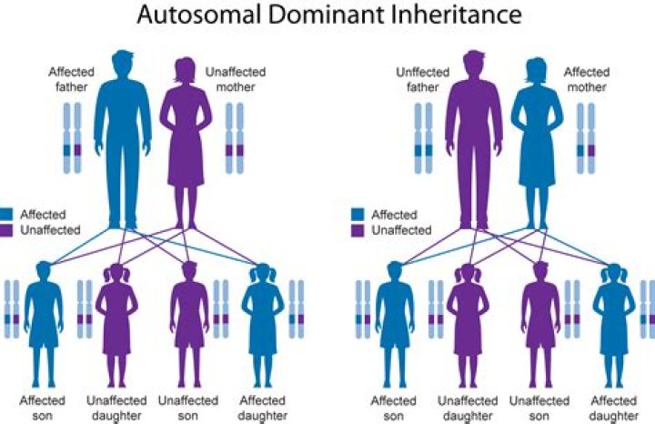 What does inherited trait mean in biology?