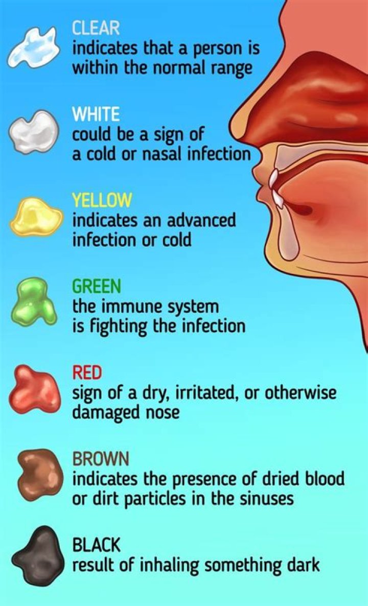 What does it mean when the bottom of your nose hurts?