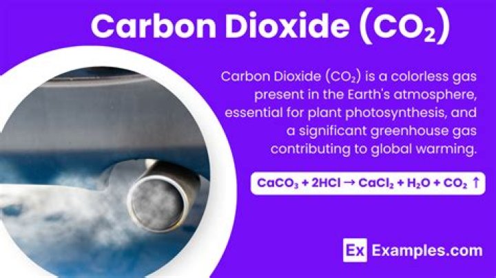 What does low carbon dioxide indicate?