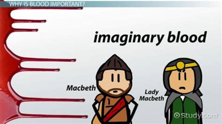 What does Macbeth say about his bloody hands?