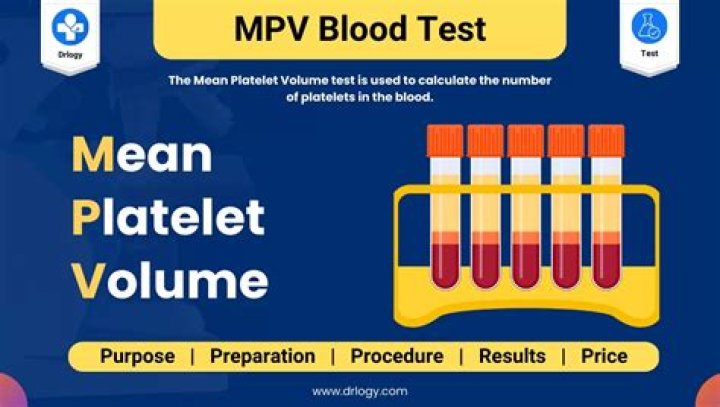 What does MPV mean in a blood test when it is low?