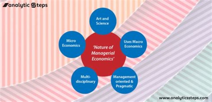What does not need to be addressed when organizing an economy?