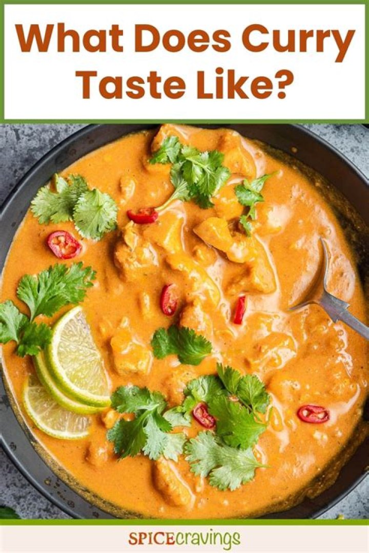 What does Panang mean in curry?