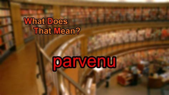What does parvenu mean?