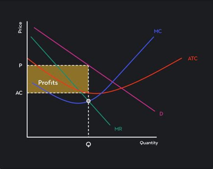 What does profit mean in economics?