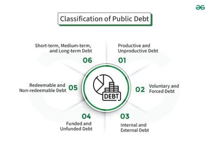 What does public debt do?