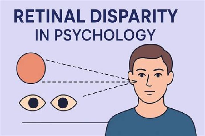 What does retinal disparity help you do?