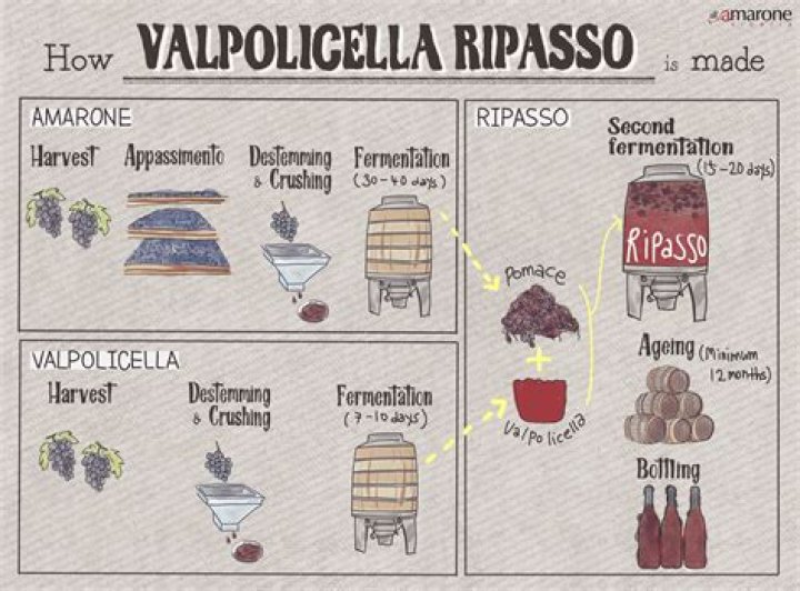 What does Ripasso mean in Italian?