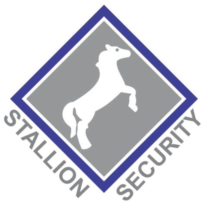 What does Stallion Security do?