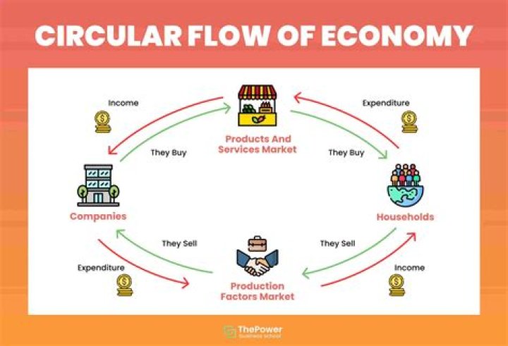 What does the circular flow model show?