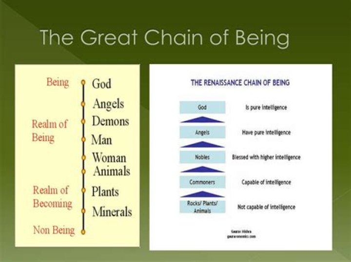 What does the Great Chain of Being suggest?